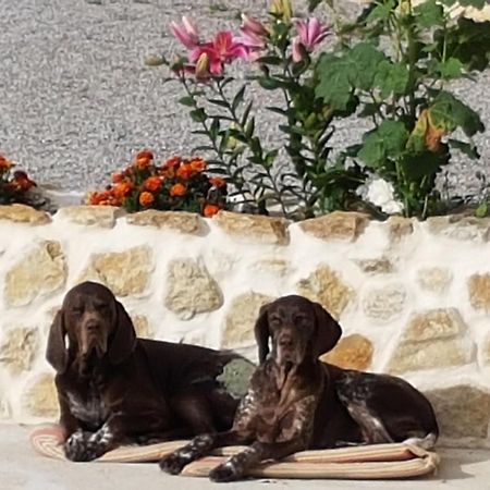 Le Clos De Tournes Echinghen Dış mekan fotoğraf