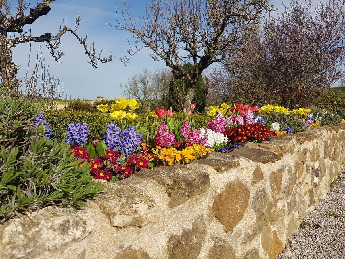 Le Clos De Tournes Echinghen Dış mekan fotoğraf